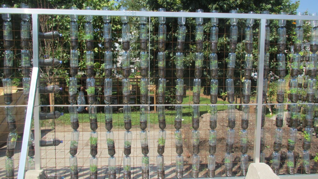 vienna norvegia svezia creta 124