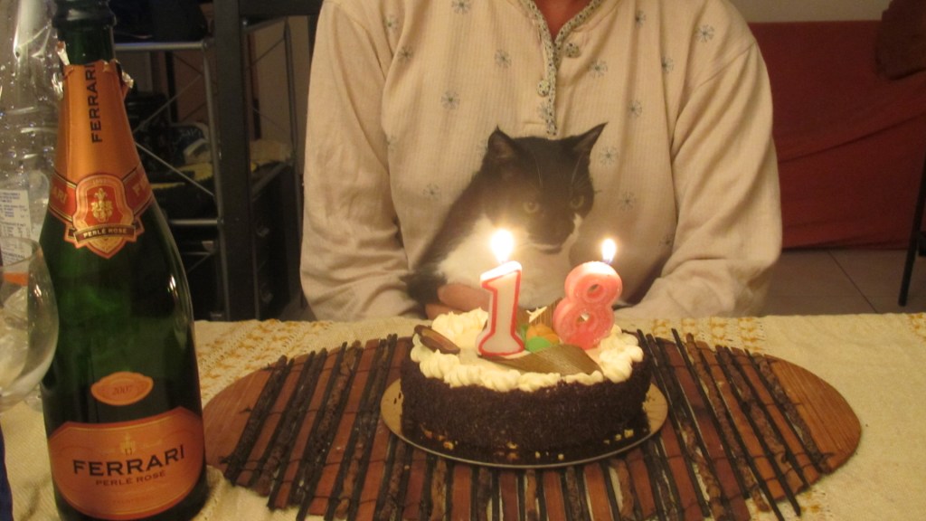 vienna norvegia svezia creta 221