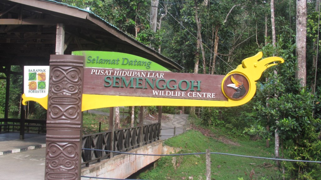 Come far visita agli oranghi di&nbsp;Semenggoh