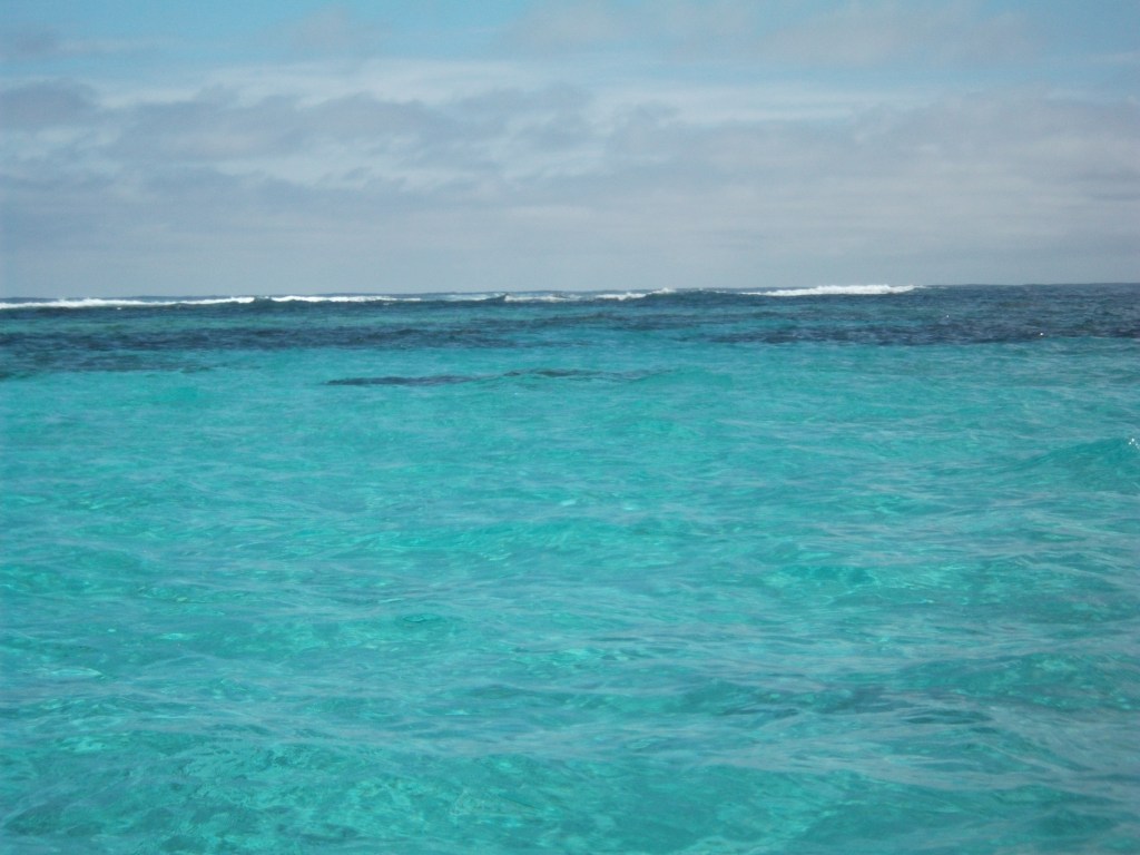 Escursione alla grande barriera corallina del Mesoamerica partendo dal&nbsp;Belize