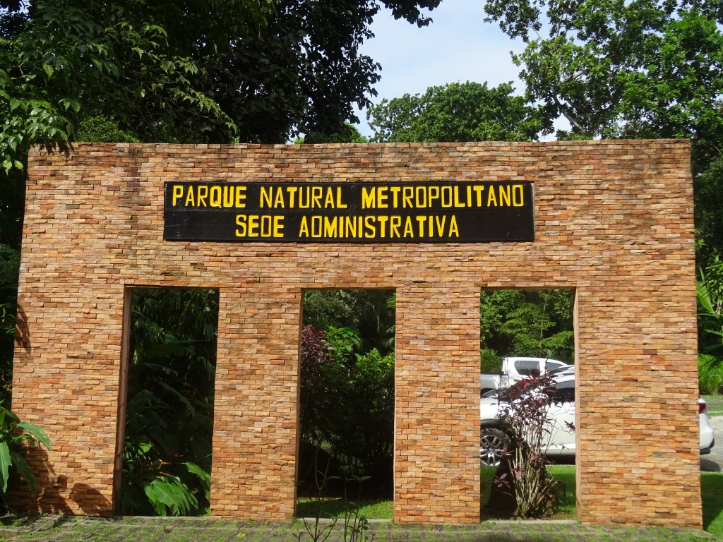 Come raggiungere il Parque Metropolitan di Panama city- a caccia di bradipi e radici&nbsp;mastodontiche