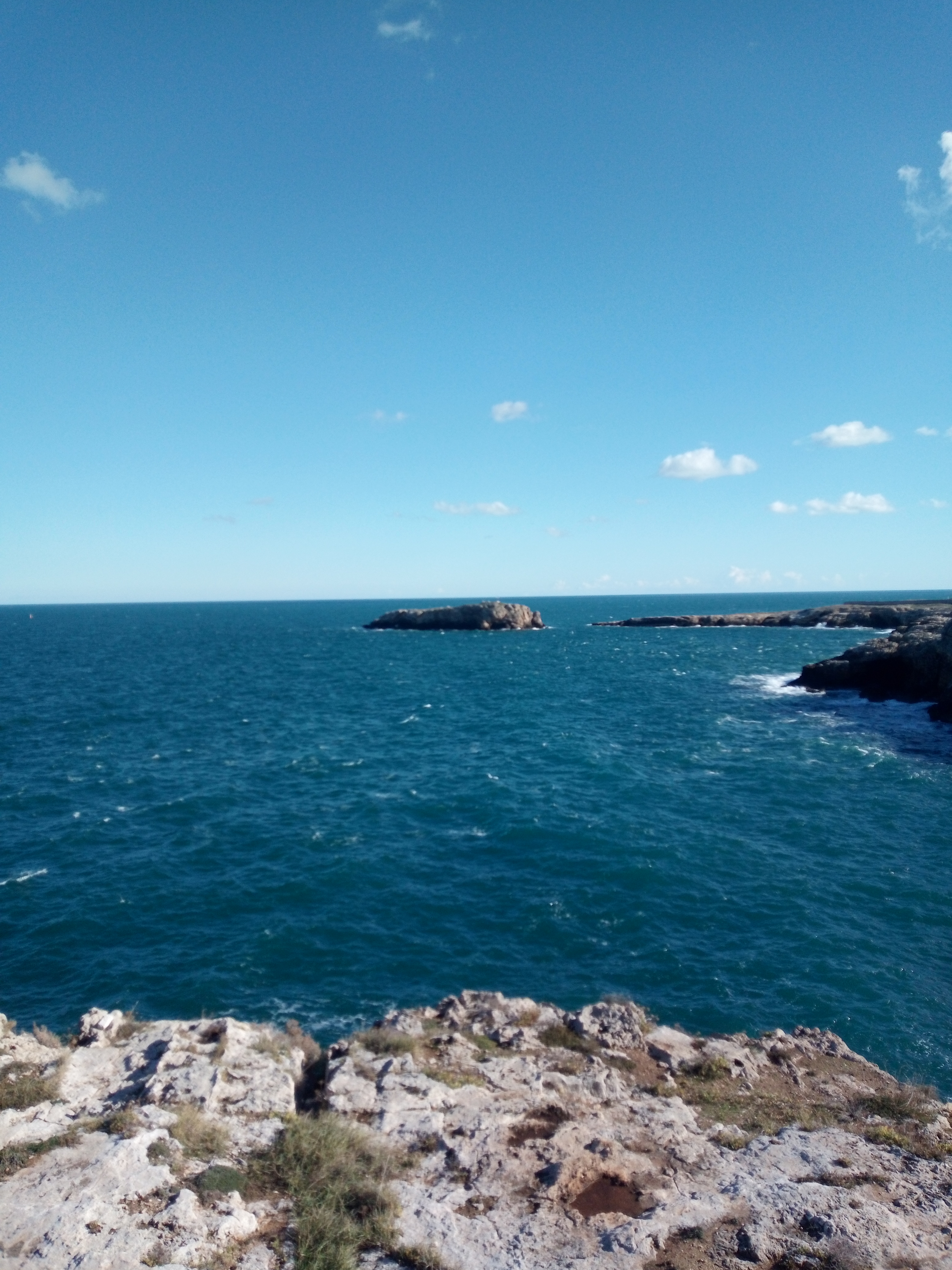 IMG_20191226_114634100