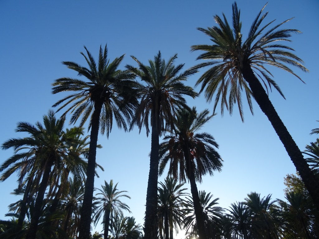 Dove trovare angoli di Asia a&nbsp;Palermo