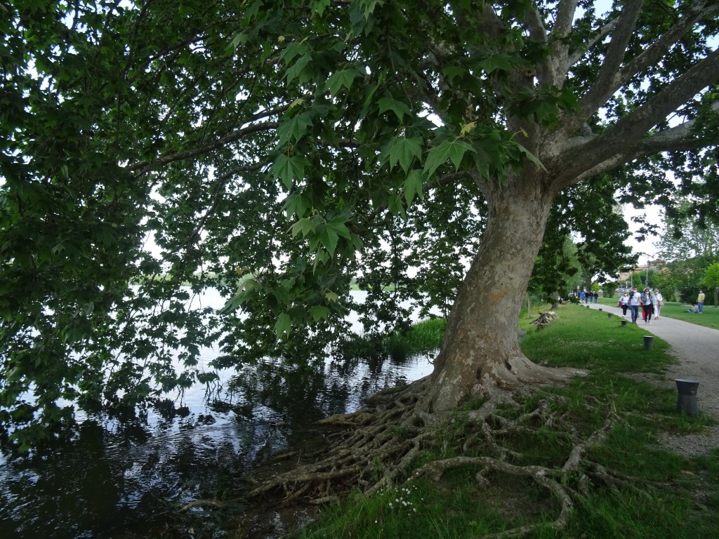 Il luogo più alchemico della città di&nbsp;Montova